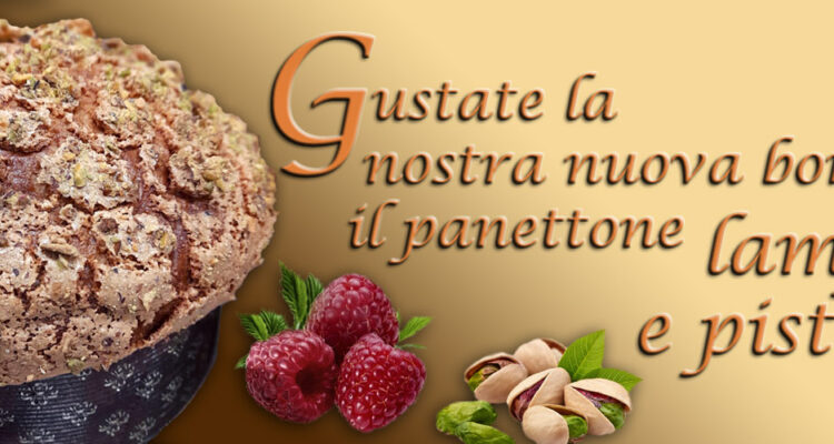 NOVITA' - Panettone lampone-pistacchio